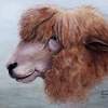 Bad Hair Day - Acrylic On Canvas Paintings - By Judy Kirouac, Realism Painting Artist