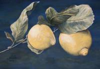 Ready For Picking - Acrylic On Canvas Paintings - By Judy Kirouac, Realism Painting Artist