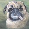 Its My Stick - Acrylic On Canvas Paintings - By Judy Kirouac, Portrait Painting Artist
