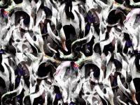 Wildlife - Deer Reflections - Acrylicpencil