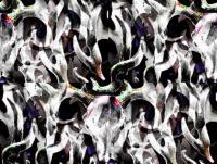 Deer Reflections - Acrylicpencil Paintings - By Cezean Mat, Abstract Painting Artist
