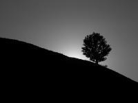 Black Sunset - Digital Photography - By Eric Brownell, Nature Photography Artist