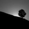 Black Sunset - Digital Photography - By Eric Brownell, Nature Photography Artist