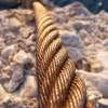 Steel Cable - Digital Photography - By Eric Brownell, Nature Photography Artist