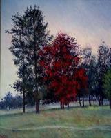 Landscape - Oil On Canvas Paintings - By Abid Khan, Impressionism Painting Artist