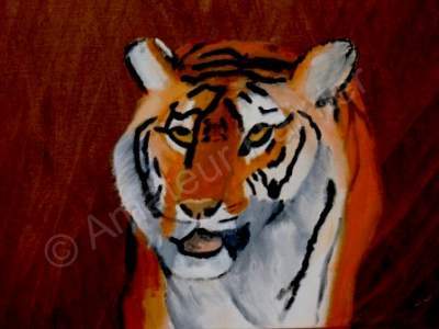 Amateurpainter - Tiger - Oil On Canvas