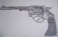 Colt - Pencil Drawings - By Gwen Opiela, Realism Drawing Artist