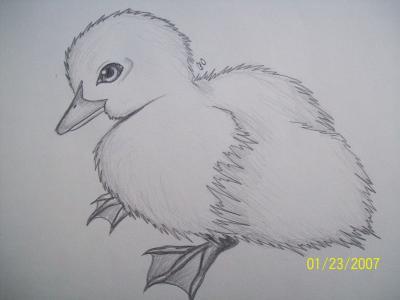 Sketch Book - Ducky Tape - Pencil