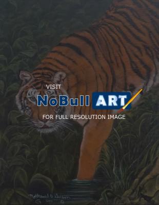 Animals - Tiger - Oil On Canvas