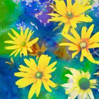 Nature - Yellow Flowers - Digital