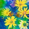 Yellow Flowers - Digital Digital - By Steven Wills, Watercolor Digital Artist