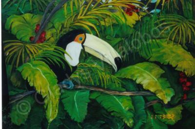 Wild Life - Tucan - Oil