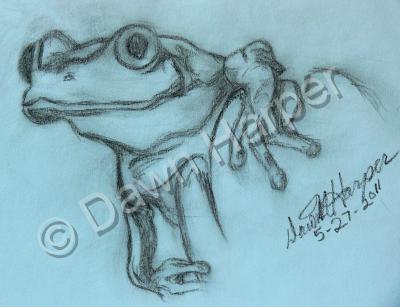 Wild Life - Ready To Leap - Pencil  Paper