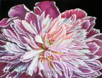 Pink Peony - Watercolor Paintings - By Jane Girardot, Realism Painting Artist