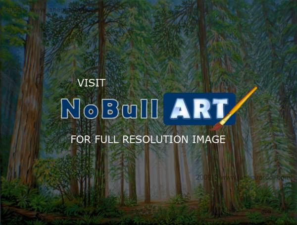 Wildlife And Nature - Coastal Redwoods - Acrylic On Canvas