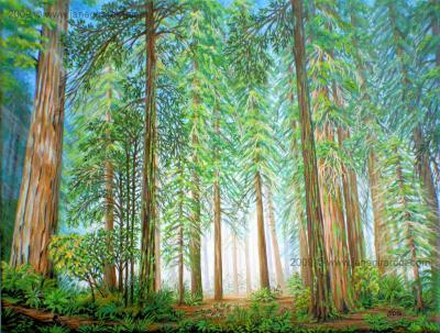 Wildlife And Nature - Coastal Redwoods - Acrylic On Canvas