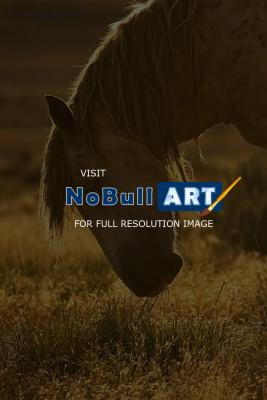 Horses - Breakfast - Digital