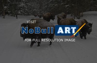 Wildlife - Winter Procession - Digital
