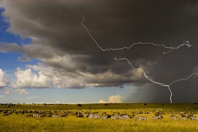 Dancing Light - Lightning Stor - Migrating Storm - Digital