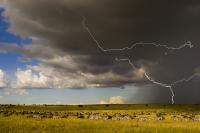 Migrating Storm - Digital Photography - By Jl Woody Wooden, Lightning Storms - Dancing Lig Photography Artist