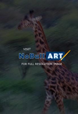 Wildlife - Running Giraffe - Digital