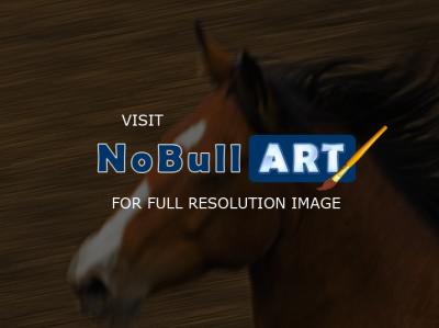 Horses - Running Horse - Digital