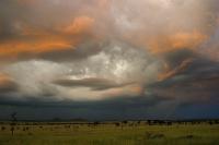 Serengeti Storm - Digital Photography - By Jl Woody Wooden, Lightning Storms - Dancing Lig Photography Artist