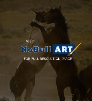 Horses - Standing Battle - Digital