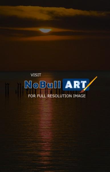Wildlife - Sunset At Bon Secour Bay - Digital