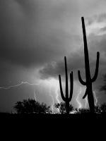 Dancing Light - Lightning Stor - Wild Places - Digital