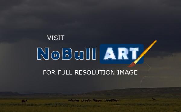 Horses - Wyoming Wild Horses - Digital