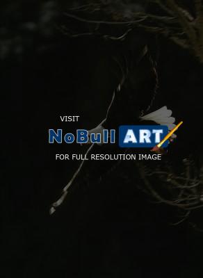 Birds Of Prey - Bald Eagle - Digital