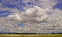 At The Edge Of Kenya - Digital Photography - By Jl Woody Wooden, Wildlife Photography Artist