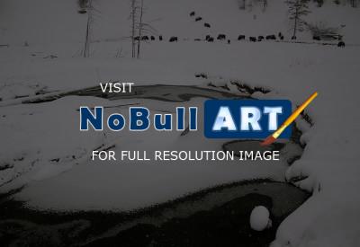 Wildlife - Buffalo In The Snow - Digital