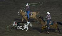Calf Roping Team - Digital Photography - By Jl Woody Wooden, Horses Photography Artist