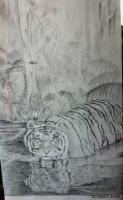 Jungle Swamp Tiger - Pencil Drawings - By Richard Jones, Contemporary Drawing Artist