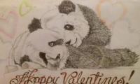 Valentine Pandas - Pencil Drawings - By Richard Jones, Contemporary Drawing Artist