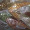 Fishes - Oil On Canvas Drawings - By Alexandra Schastlivaya, Abstract Or Pointillism For Pa Drawing Artist