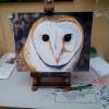 Barn Owl - Watercolour Paintings - By Garry Fowler, Hand Painted Painting Artist
