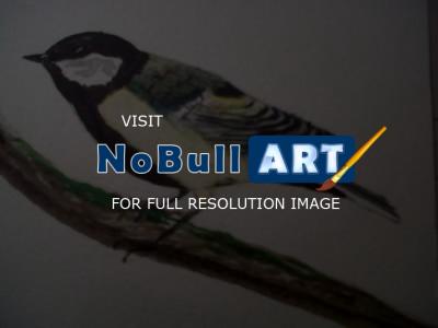 Wildlife - Great Tit - Watercolour