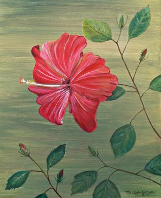 Flowers - Daydreaming Hibiscus - Acrylics