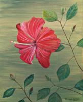 Daydreaming Hibiscus - Acrylics Paintings - By Michele Lovaglio-Watson, Painting Painting Artist