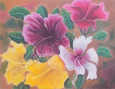 Florals  Foliage - Hibisci In Pastel - Pastels