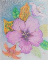 Florals  Foliage - Hibiscus Lightly - Color Pencils