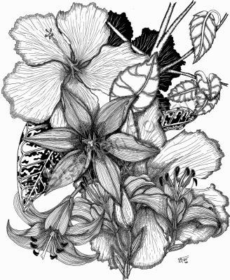 Florals  Foliage - Lines Of Florals - Pen And Ink