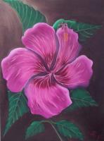 Florals  Foliage - Magenta Hibiscus - Oils