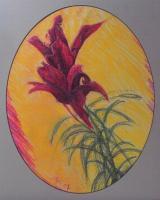 Pastel Lilies - Pastels Drawings - By Stephen Fontana, Representational Drawing Artist