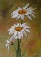 Flowers - Margaritas - Oil On Canvas