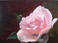 Rosa - Oil On Canvas Paintings - By Mihaela Mihailovici, Realist Painting Artist