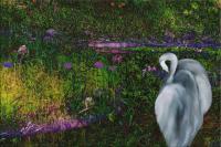 Humble Reverie - Digital Painting Digital - By Pamela Phelps, Surrealistic Birds Digital Artist